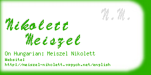 nikolett meiszel business card